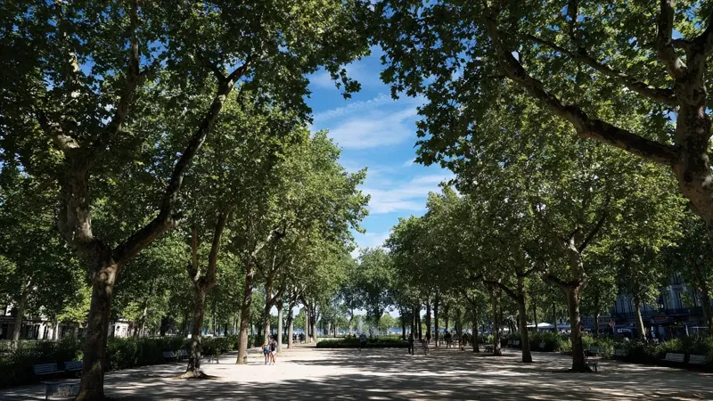 Les villes qui progressent le plus