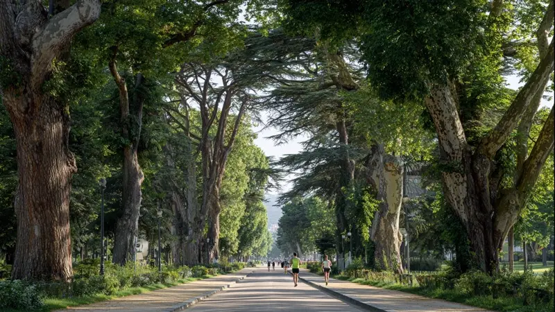 Les villes frontalières : vivre entre deux pays