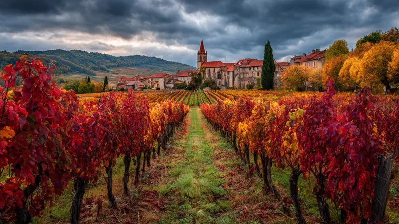 Vivre en Bourgogne-Franche-Comté : le guide complet par les données